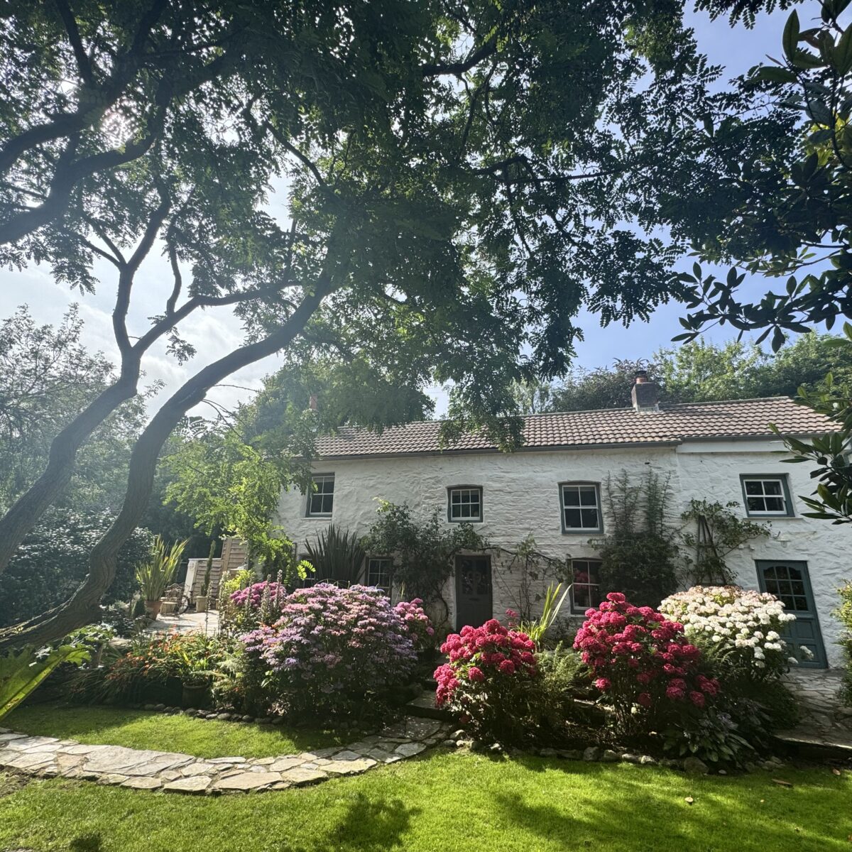 External image of the house banner2